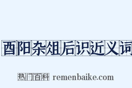 酉阳杂俎后识近义词是什么意思的图片